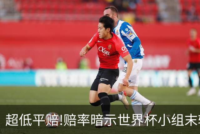 超低平赔!赔率暗示世界杯小组末轮一场默契球?